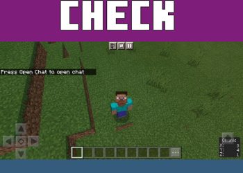 Chunk from Mini-Map Mod for Minecraft PE