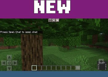 Info from Mini-Map Mod for Minecraft PE