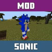 Sonic Mod for Minecraft PE