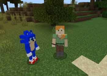 Steve and Sonic from Sonic Mod for Minecraft PE