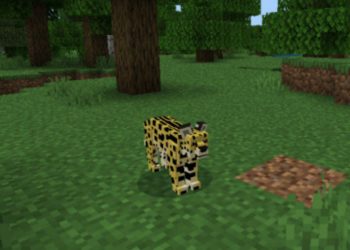 Animal from Mo Creatures Mod for Minecraft PE