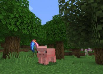 Pig Image from Morph Mod for Minecraft PE