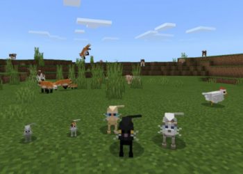 Cats from Cute Texture Pack for Minecraft PE