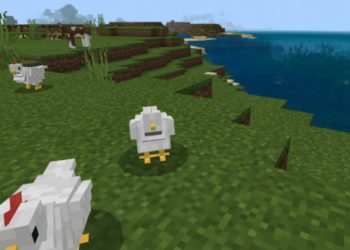 Chicken from Cute Texture Pack for Minecraft PE
