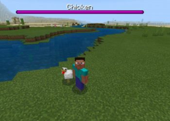 Chicken from Healh Bar Mod for Minecraft PE