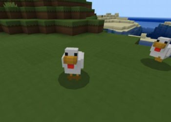 Chicken from Paper Mod for Minecraft PE