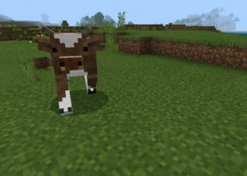 Cow from Cute Texture Pack for Minecraft PE