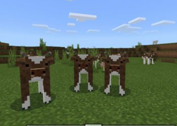 Cows from Cute Texture Pack for Minecraft PE