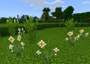 Flowers from Console Shader for Minecraft PE