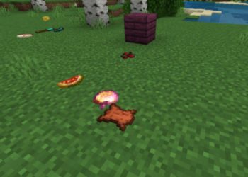 Food from Physics Mod for Minecraft PE