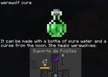 Information from Shapeshifter Mod for Minecraft PE
