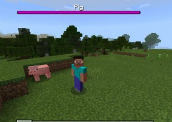 Pig from Healh Bar Mod for Minecraft PE