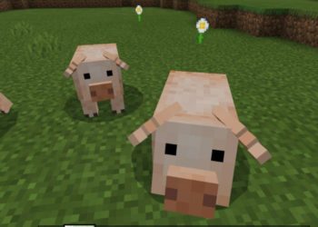 Pigs from Cute Texture Pack for Minecraft PE