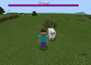 Sheep from Healh Bar Mod for Minecraft PE