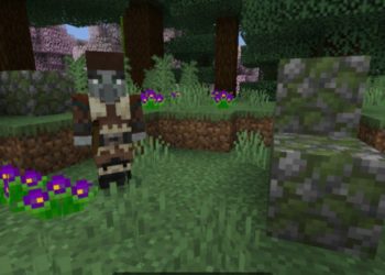 Villager from Biomes Mod for Minecraft PE