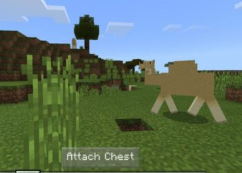 Attach Chest from Camel Mod for Minecraft PE