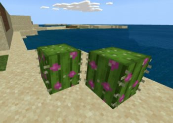 Cacti from Grass Block Texture Pack for Minecraft PE