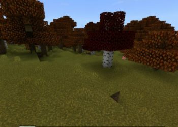 Forest from Cottagecore Texture Pack for Minecraft PE