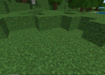 Full Grass from Grass Block Texture Pack for Minecraft PE
