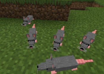 Grey Rats from Rats Mod for Minecraft PE