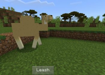Leash from Camel Mod for Minecraft PE