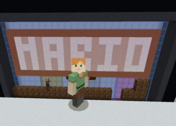 Information from Mario Map for Minecraft PE