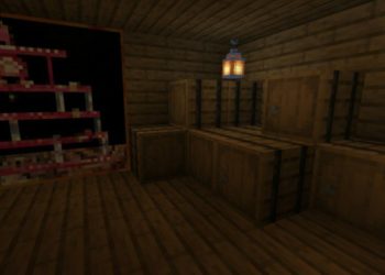 Room from Zelda Twilight Princess Map for Minecraft PE