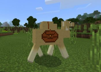 With Chest from Camel Mod for Minecraft PE