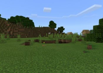 Without Zoom from Zoom Mod for Minercraft PE