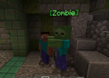 Zombie from Dungeons Map for Minecraft PE