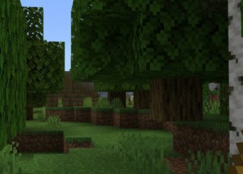 Zoom Behavior from Zoom Mod for Minercraft PE