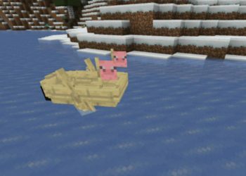 Birch Boat from Aesthetic Texture Pack for Minecraft PE