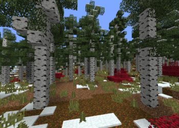Birch Forest from Minecraft PE 2.0.0