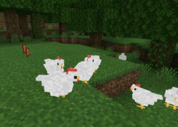 Chickens from Animal Texture Pack for Minecraft PE