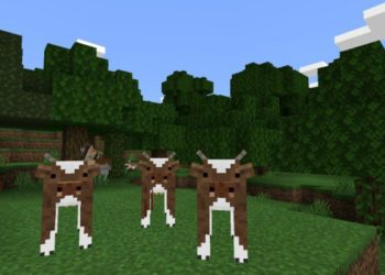 Cows from Animal Texture Pack for Minecraft PE