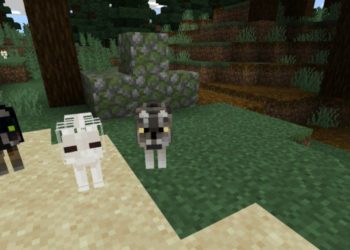 Different Types from Wolf Texture Pack for Minecraft PE