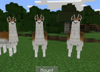 Llamas from Animal Texture Pack for Minecraft PE
