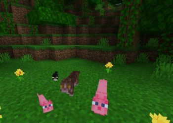 More Colors from Cat Texture Pack for Minecraft PE