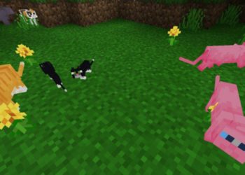More Types from Cat Texture Pack for Minecraft PE