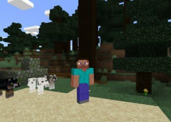 More Wolves from Wolf Texture Pack for Minecraft PE