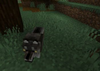 New Wolf from Wolf Texture Pack for Minecraft PE