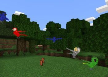 Parrots from Animal Texture Pack for Minecraft PE
