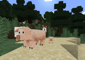 Pigs from Cat Texture Pack for Minecraft PE