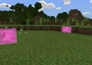 Pink Slime from Slime Texture Pack for Minecraft PE