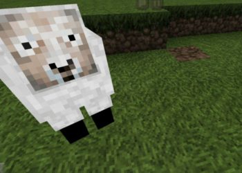 Sheep from Conquest Texture Pack for Minecraft PE