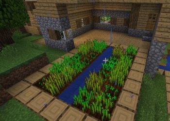 Farm from Minecraft Windows 10
