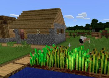 Village from Minecraft Windows 10