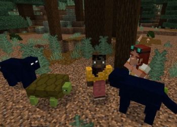 Zoo from Addons for Minecraft Windows 10