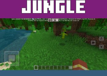 Jungle Map from Maps for Minecraft 1.20.0 and 1.20