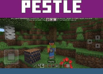 Pestle from Education Edition Mod for Minecraft PE